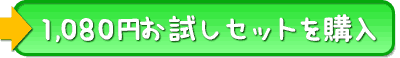 お試しセット